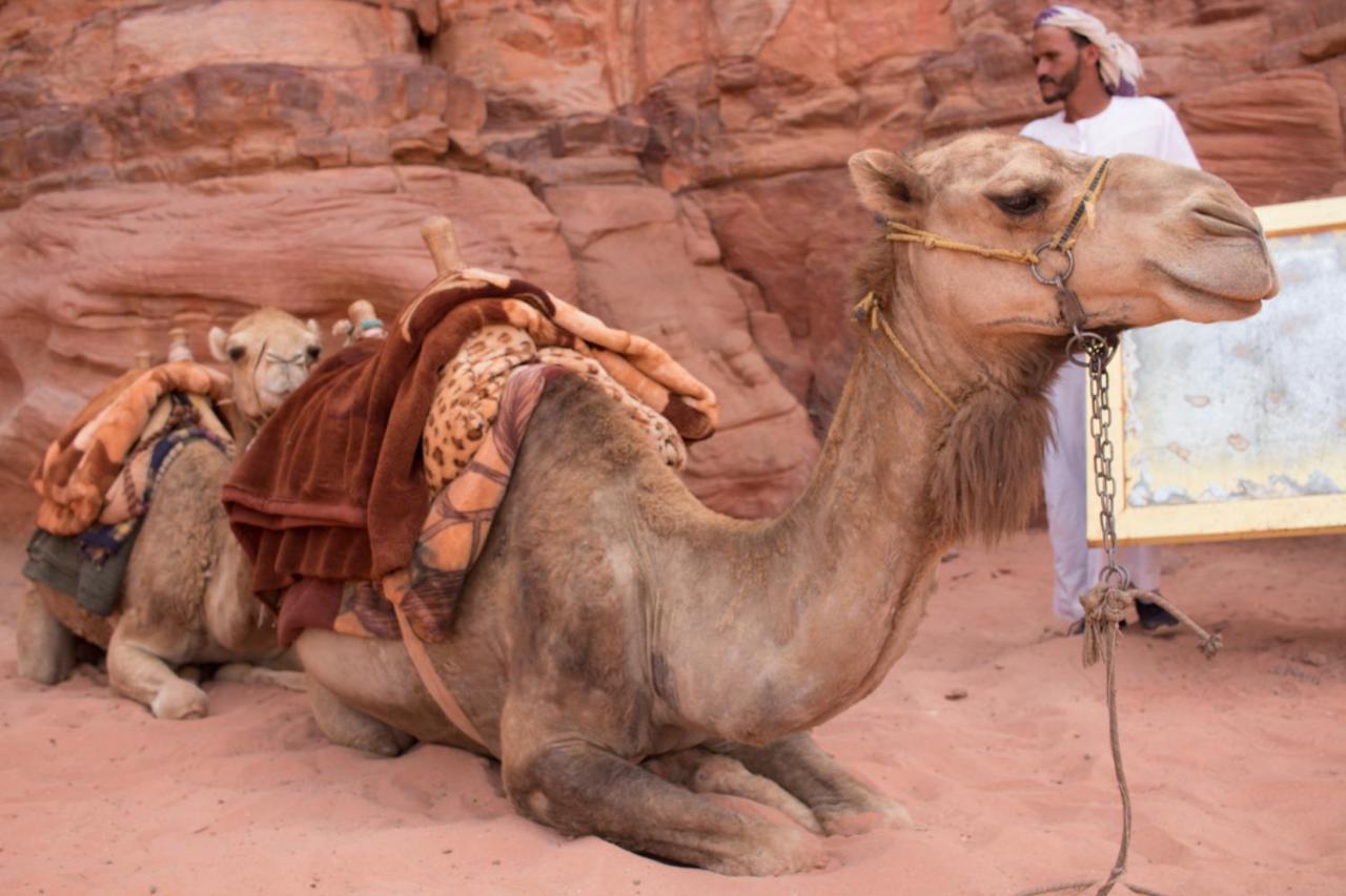 Wadi Rum Desert Home Buitenkant foto