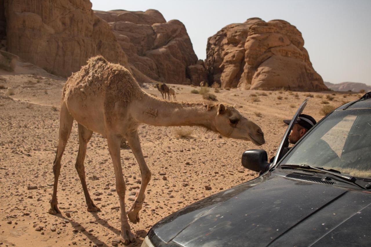 Wadi Rum Desert Home Buitenkant foto